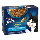 Bild 1 von Felix Sensations Geschmacksvielfalt vom Wasser Katzenfutter 12 x 85g