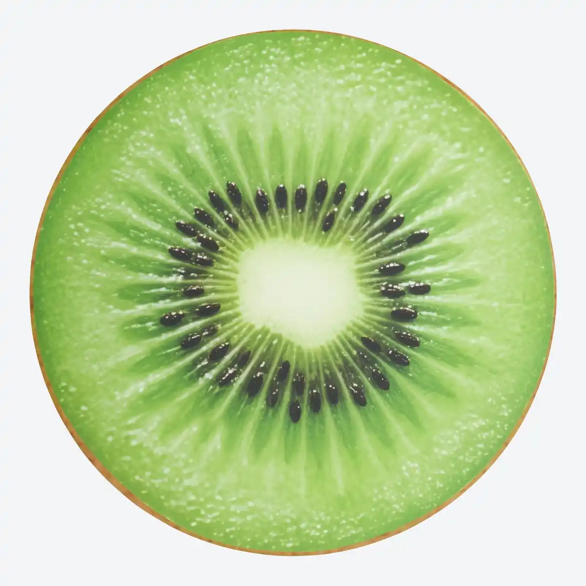 Bild 1 von Platzset mit Frucht-Design, Ø ca. 38 cm
