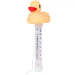 Wasserthermometer