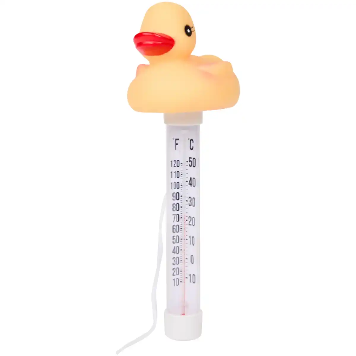 Bild 1 von Wasserthermometer