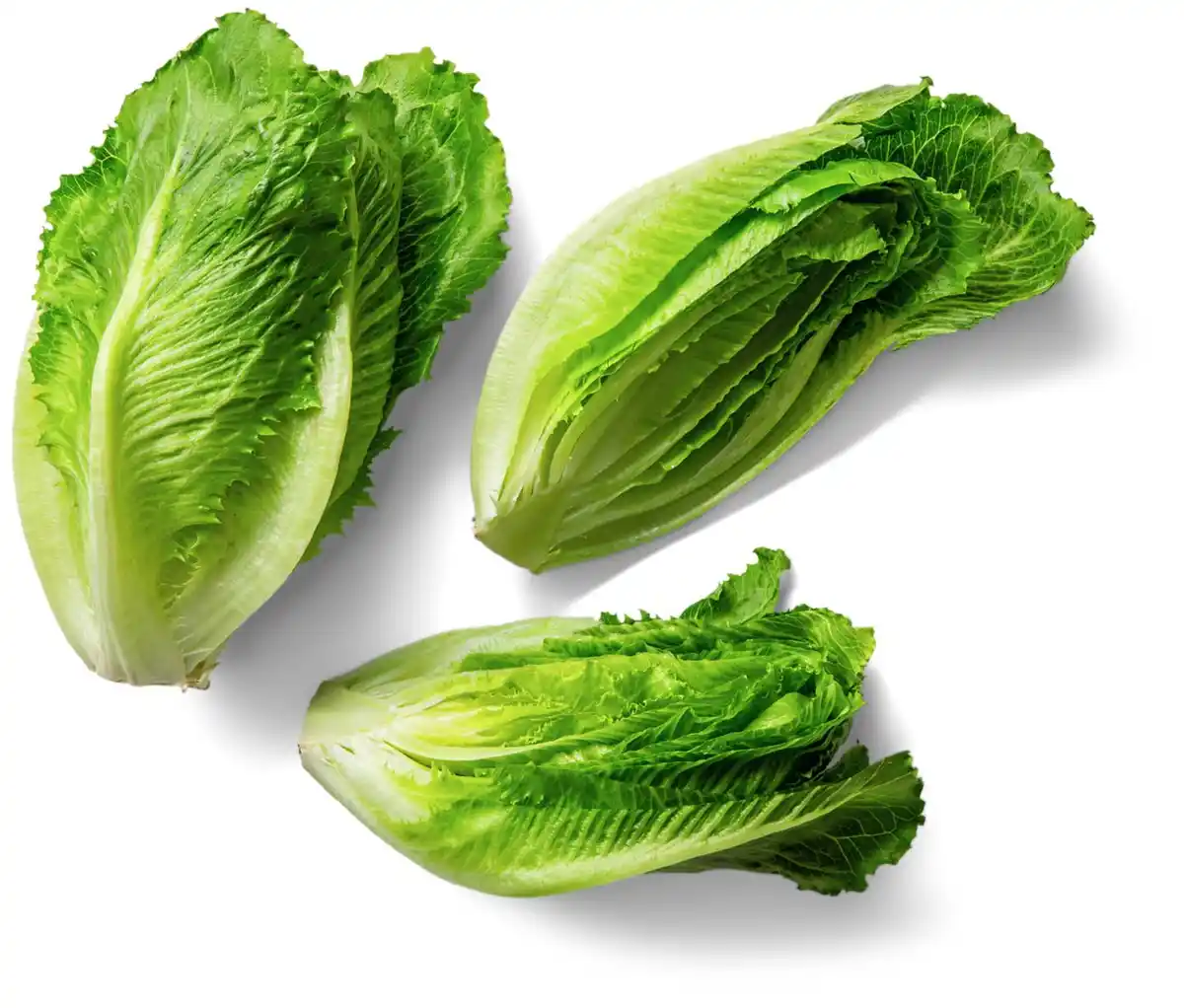 Bild 1 von Dtsch. Salarico-Salat, Stück