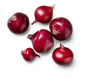Ägypt. Zwiebeln, rot, 1-kg-Packg.