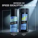 Bild 2 von bruno banani Deodorant Spray Spiced Eucalyptus, 150 ml