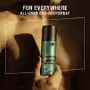 Bild 2 von bruno banani Made For Men Deodorant Spray, 150 ml