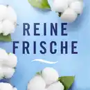 Bild 3 von febreze Bad Lufterfrischer Reine Frische Vorteilspack, 37,5 ml