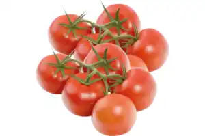 Rispentomaten