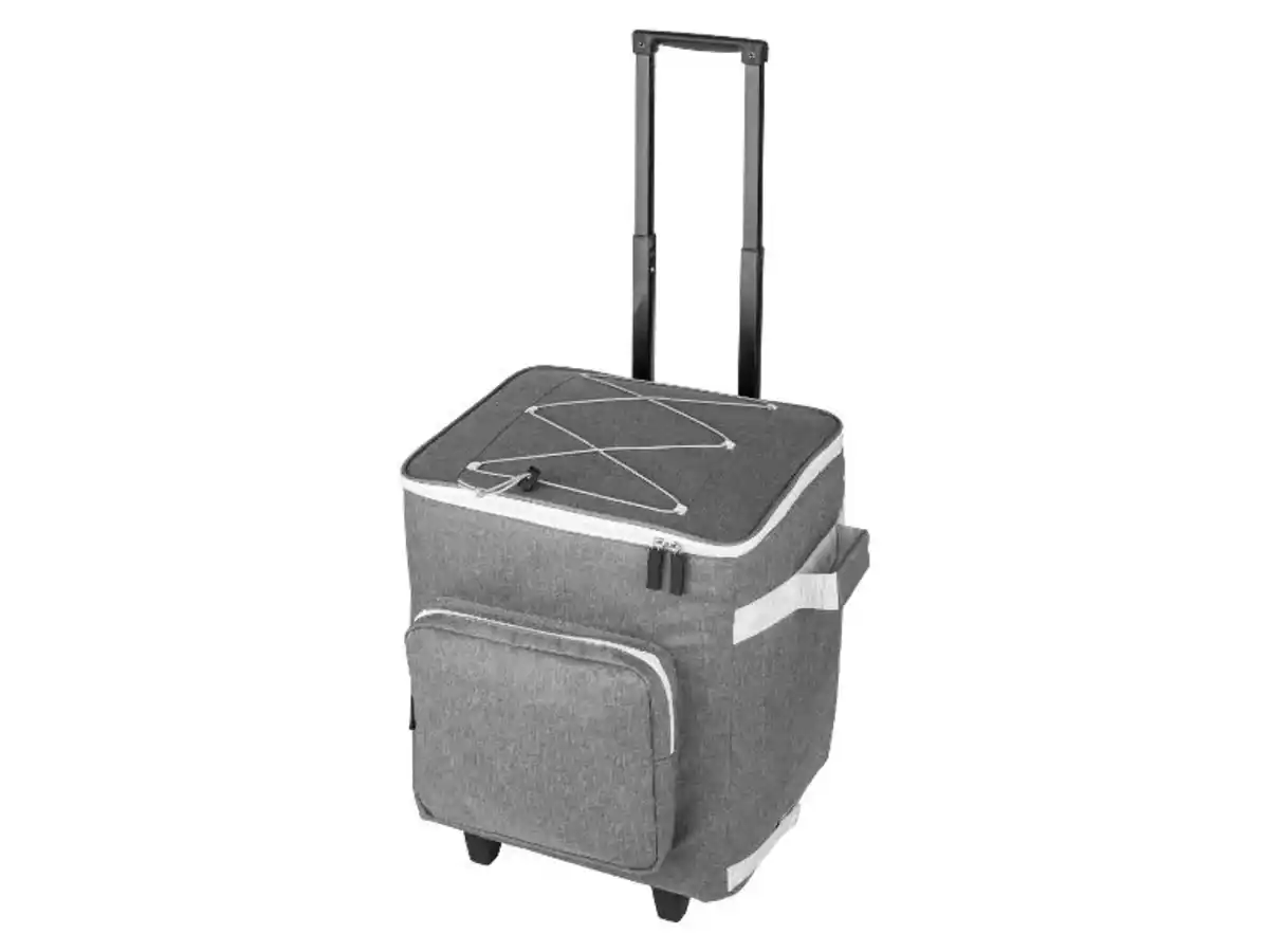 Bild 3 von Einkaufstrolley mit Kühlfunktion