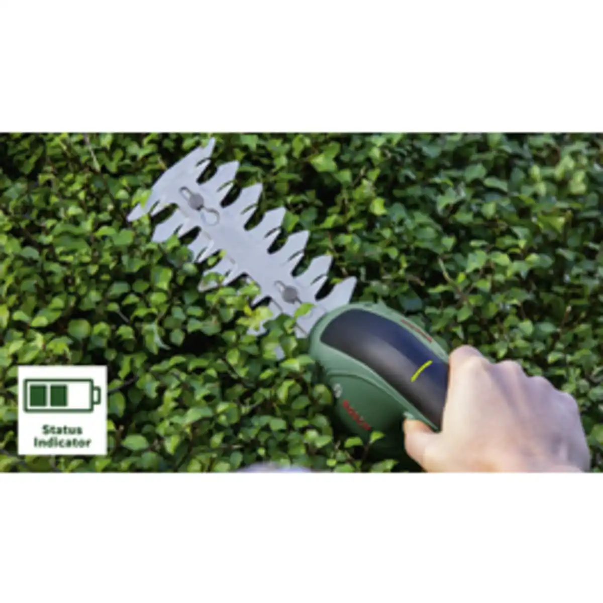 Bild 4 von BOSCH HOME & GARDEN Akku-Gras- und Strauchscherenset »EasyShear«, 3,6 V