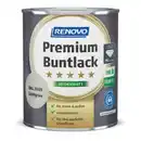 Bild 1 von RENOVO Buntlack