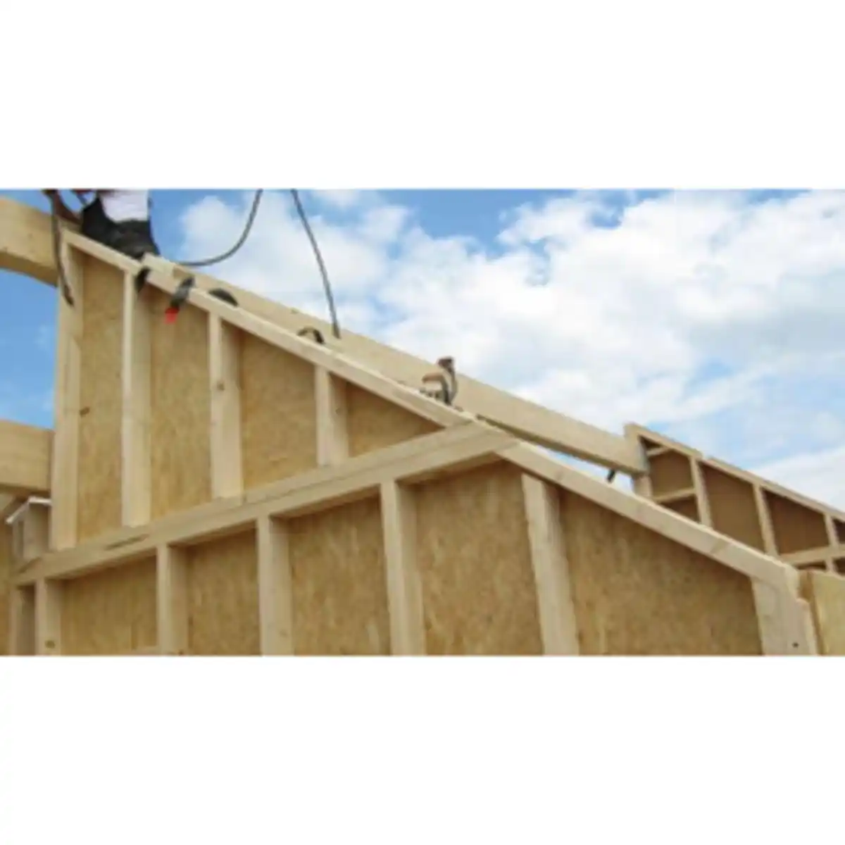 Bild 4 von OSB-3 Verlegeplatte, BxLxS: 675 x 2050 x 12mm, Nut & Feder