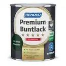 Bild 1 von RENOVO Buntlack