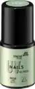 Bild 2 von trend !t up UV Nagellack 150, 9 ml