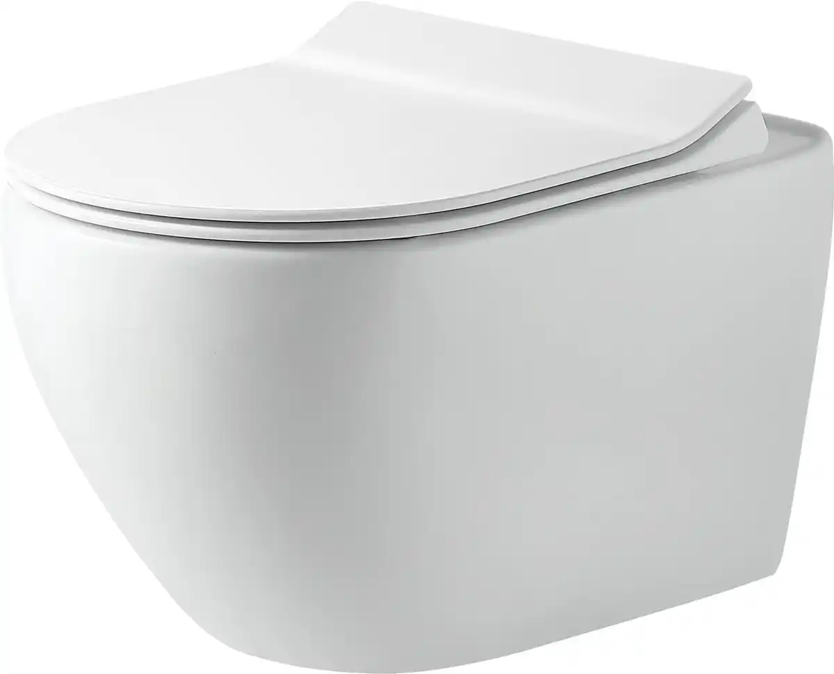 Bild 1 von Primaster Wand WC spülrandlos Salvando Tiefspüler weiß inkl. WC Sitz