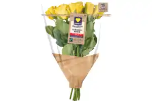 Hochlandrosen