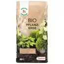 Bild 1 von hagebau Pflanzerde, Bio, torffrei, 40 Liter