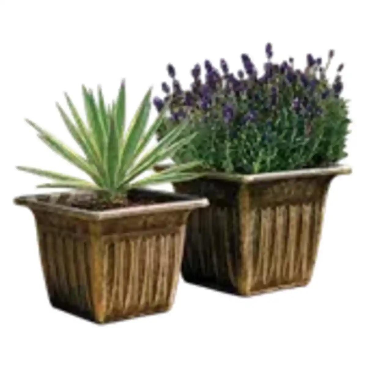 Bild 1 von GARDEN DREAM Blumentopf eckig
