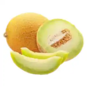 Galiamelone