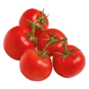 Strauchtomaten