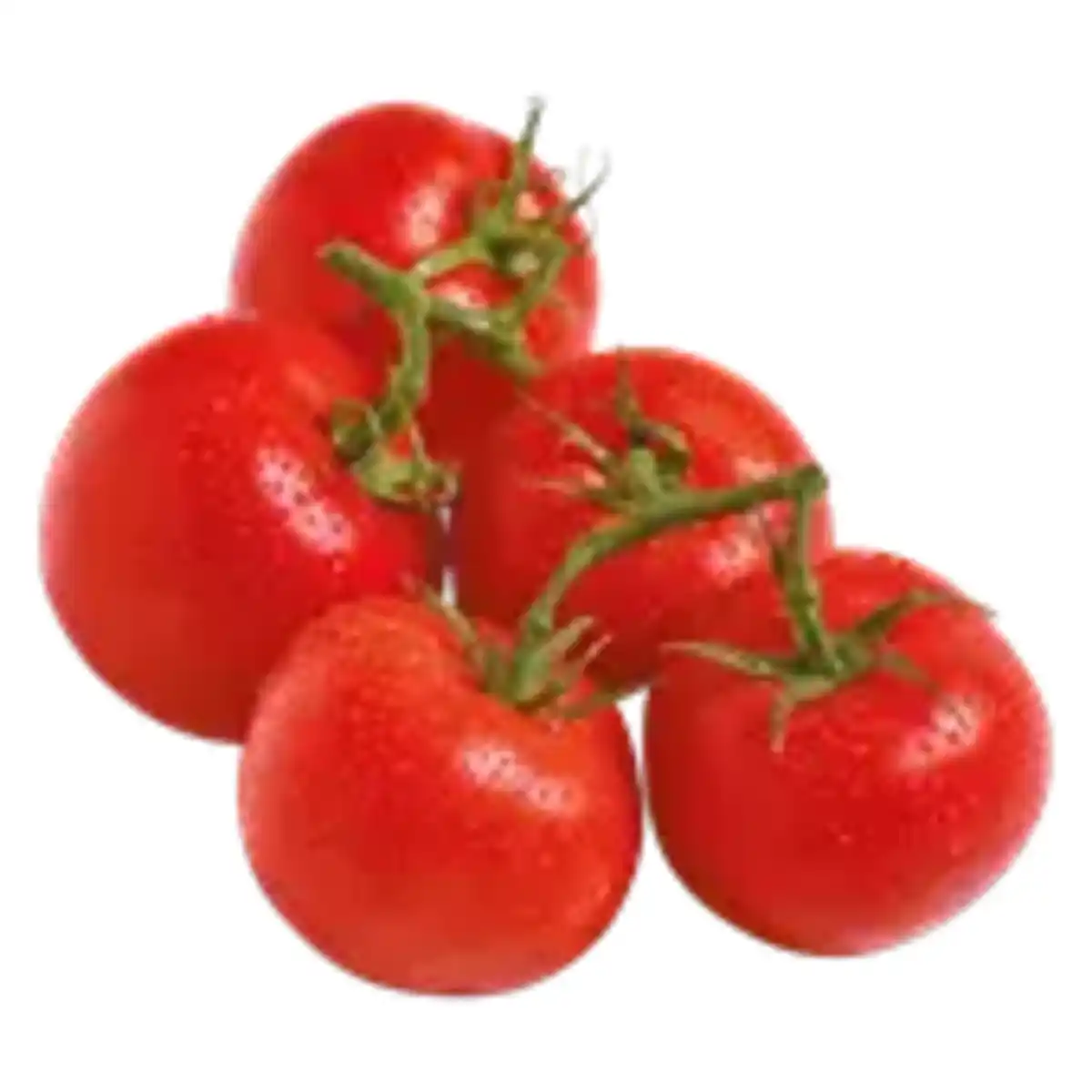Bild 1 von Strauchtomaten