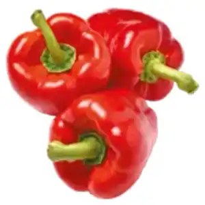 Paprika rot