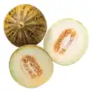 Bild 1 von Dino-Melone