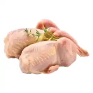 Frische Wachteln