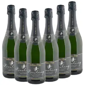 Riesling Sekt trocken 0,75l - 6er Karton