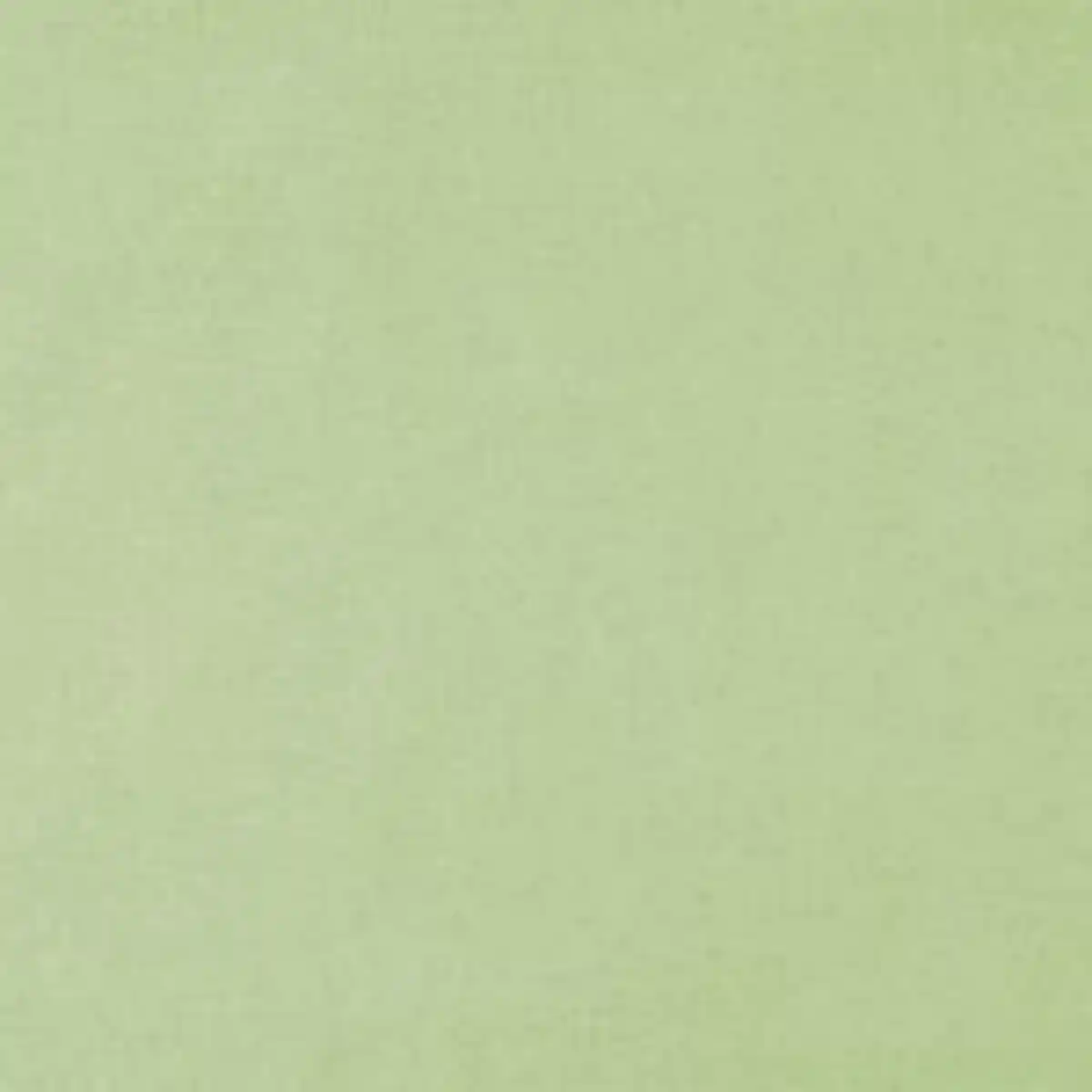 Bild 2 von Aloe-Vera Jersey-Kissenbezug 2er-Set