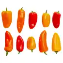 Bild 1 von NATUR LIEBLINGE Snack Paprika 250 g