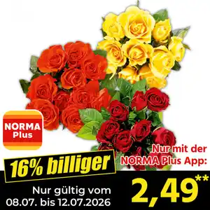 FAIRTRADE® Rosen