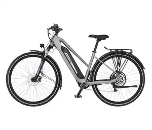 FISCHER Trekking-E-Bike TERRA 2.2 ACTIVE, mittel (Trapez Rahmen)l