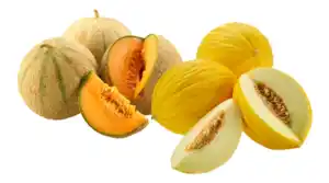 Melone oder Honigmelone