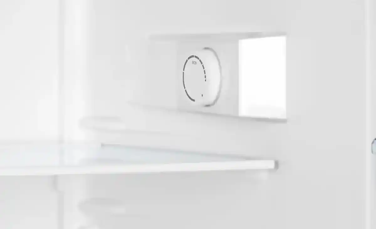 Bild 4 von gorenje Kühlschrank R492PW