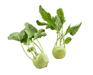 Kohlrabi