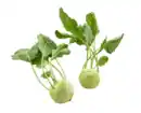 Bild 1 von Kohlrabi