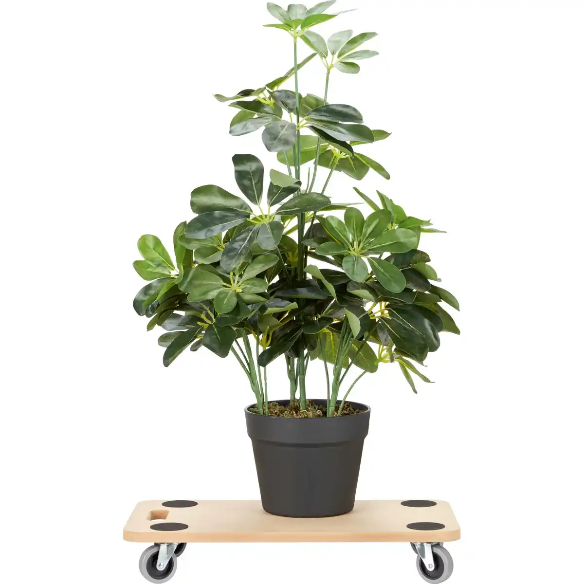 Bild 4 von Transportbrett MDF 57,5 cm x 29 cm x 9,5 cm 200 kg
