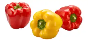 Paprika