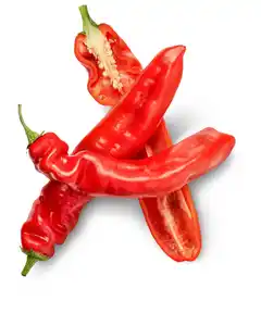 Marokk. Spitzpaprika XXL, rot, 750-g-Packg.
