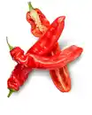 Bild 1 von Marokk. Spitzpaprika XXL, rot, 750-g-Packg.