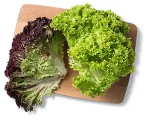 Dtsch. Kopfsalat, Lollo- oder Eichblattsalat, Stück