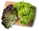 Bild 1 von Dtsch. Kopfsalat, Lollo- oder Eichblattsalat, Stück