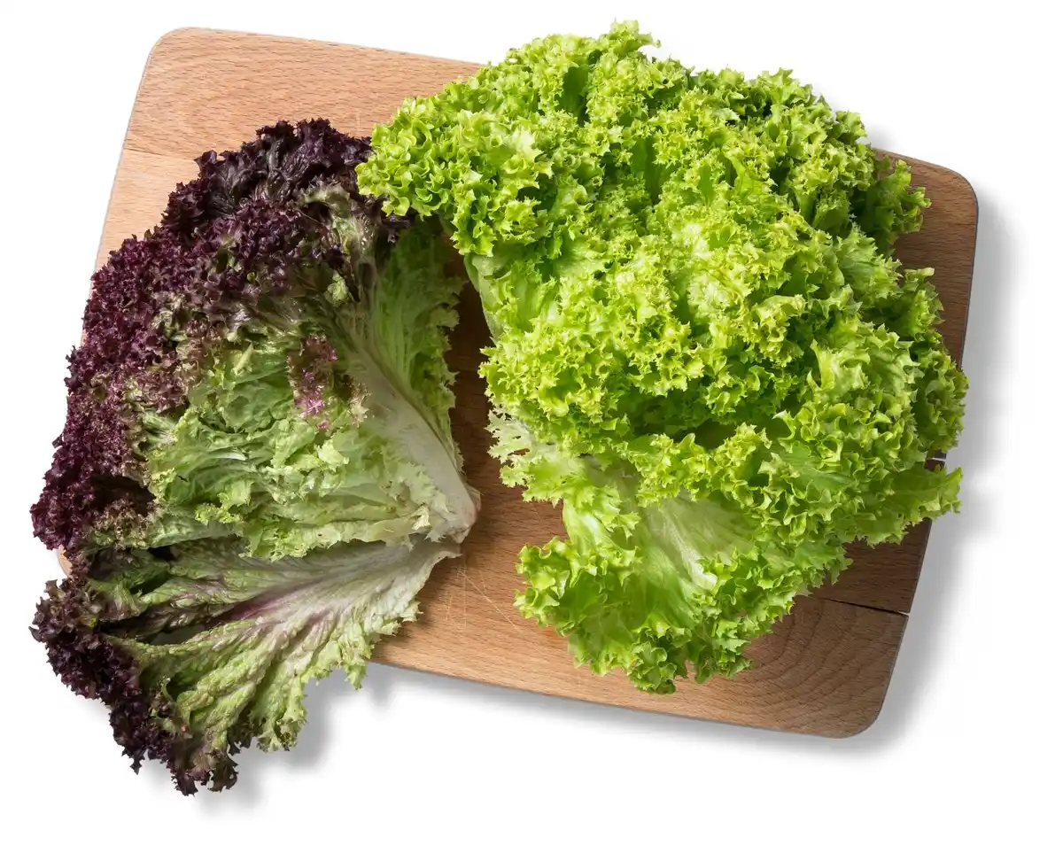 Bild 1 von Dtsch. Kopfsalat, Lollo- oder Eichblattsalat, Stück