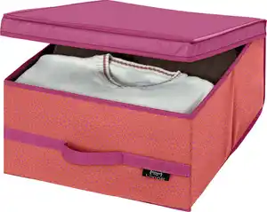 DOMOPAK LIVING Aufbewahrungsbox »Dopamin«