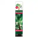 Bild 1 von Winterharte Palme