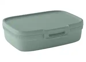 Curver Lunchbox versch. Farben
