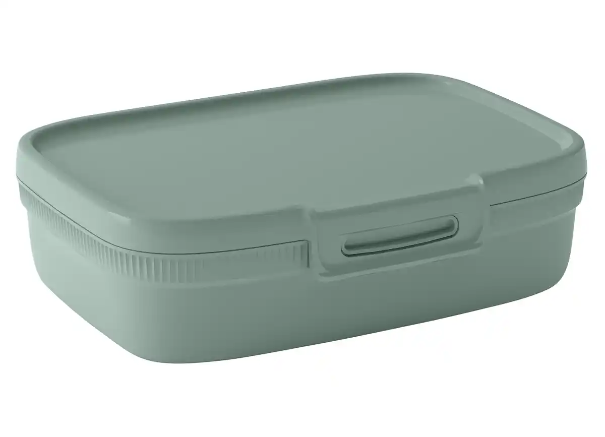 Bild 1 von Curver Lunchbox versch. Farben