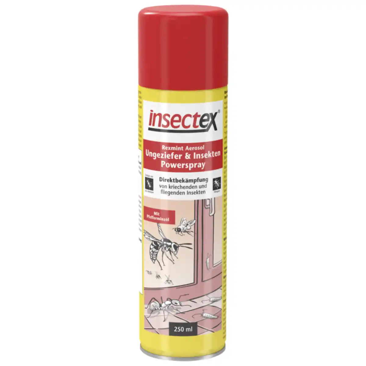 Bild 1 von insectex® Ungeziefer- & Insekten-Powerspray 250 ml