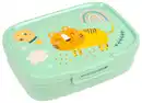 Bild 1 von Curver Lunchbox versch. Designs