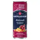 Bild 1 von Sanpellegrino Melograno & Arancia