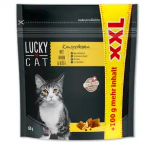 LUCKY CAT XXL Knusperkissen*